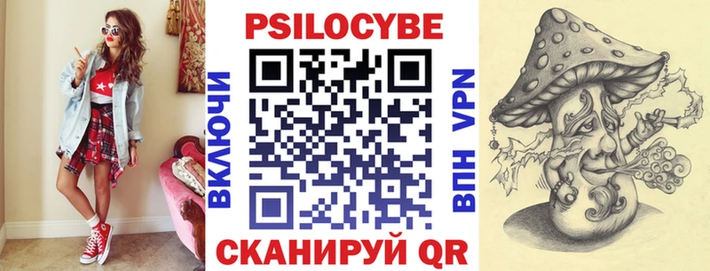 наркотики  Истра  Псилоцибиновые грибы прущие грибы 