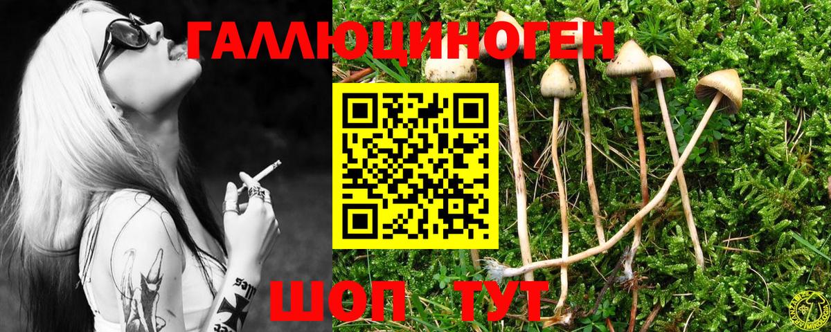 Истра  Псилоцибиновые грибы GOLDEN TEACHER  Вход с VPN 